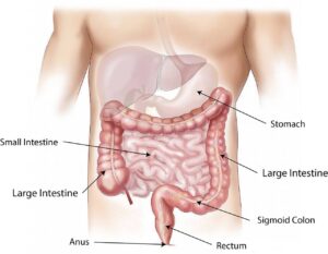 Symptoms Of Gastritis In Bengali