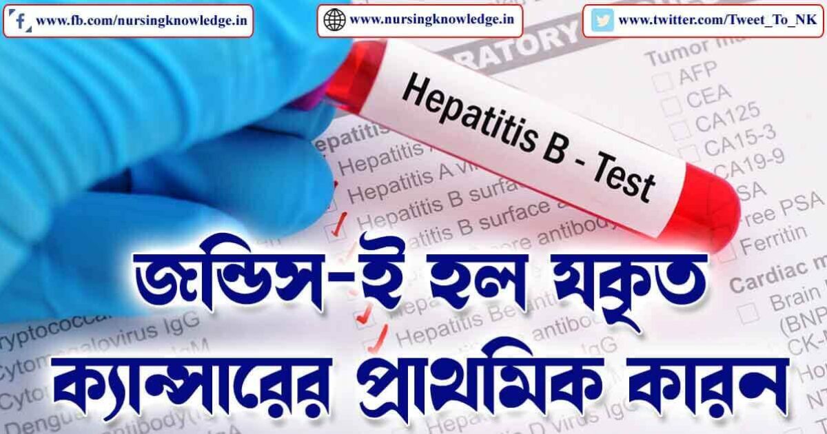 Best Hepatitis B Treatment (জন্ডিস) with Symptoms in Bengali