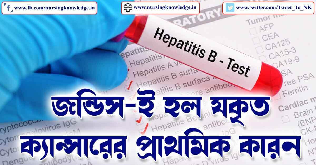 Best Hepatitis B (জন্ডিস) Treatment with Symptoms in Bengali