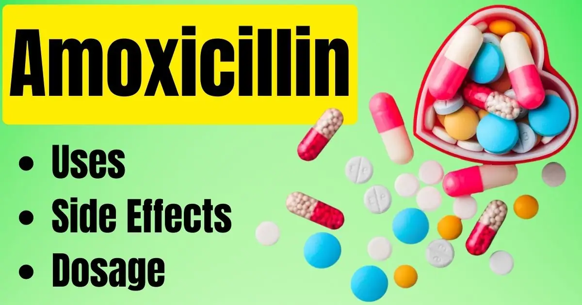 Amoxicillin Uses