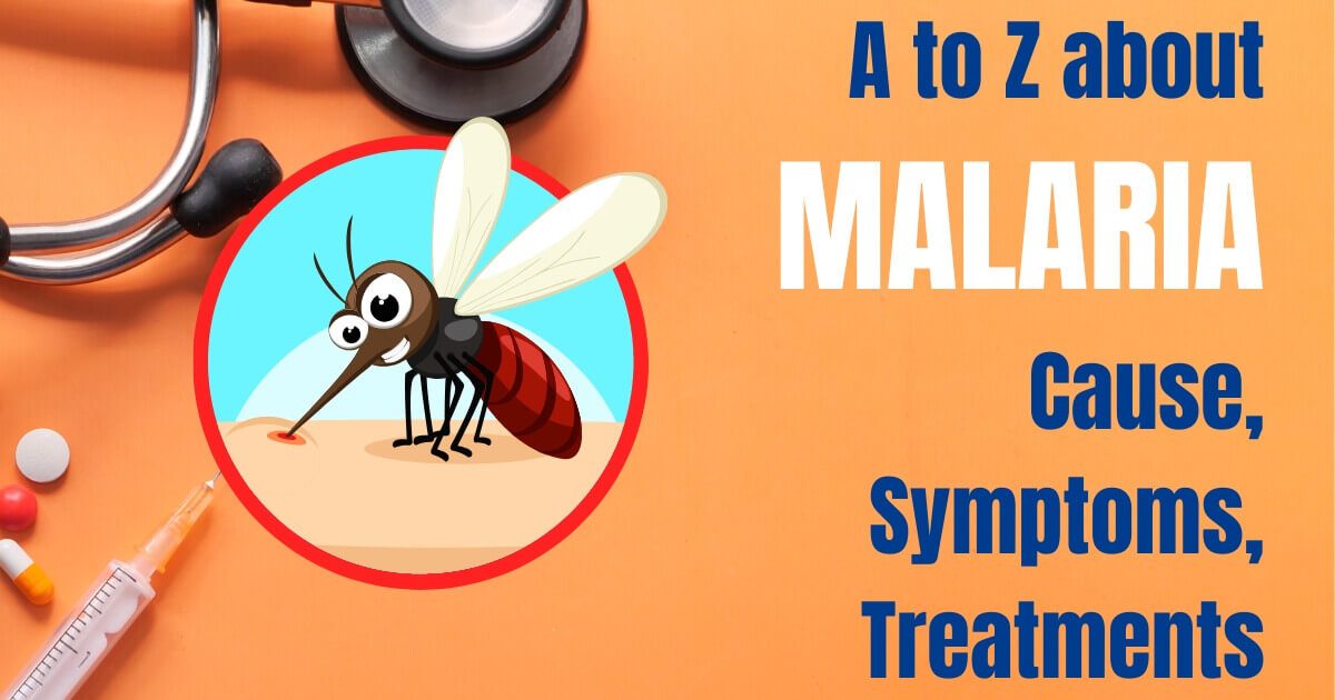 Top 5 Natural Treatments of MALARIA: Can Be Effective?